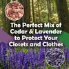 Professor Killamoth Cedar Chips and Lavender Sachets (20 Pack) -