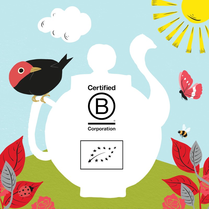 Clipper Fairtrade Organic English Breakfast Tea Bags | Black Tea