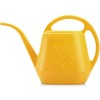 Fasmov 1-Gallon Plastic Watering Can with Comfortable Handle, Garden Watering