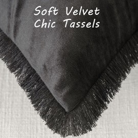 FUTEI Black Velvet Decorative Throw Pillow Covers 12x20 Set of 2,Soft Cozy Edge with Tassels Lumbar Pillow Cases,Boho Modern Home Decor for Couch Bed Living Room
