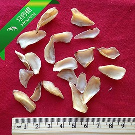 XYP Baihe Bai He 百合 100Gram