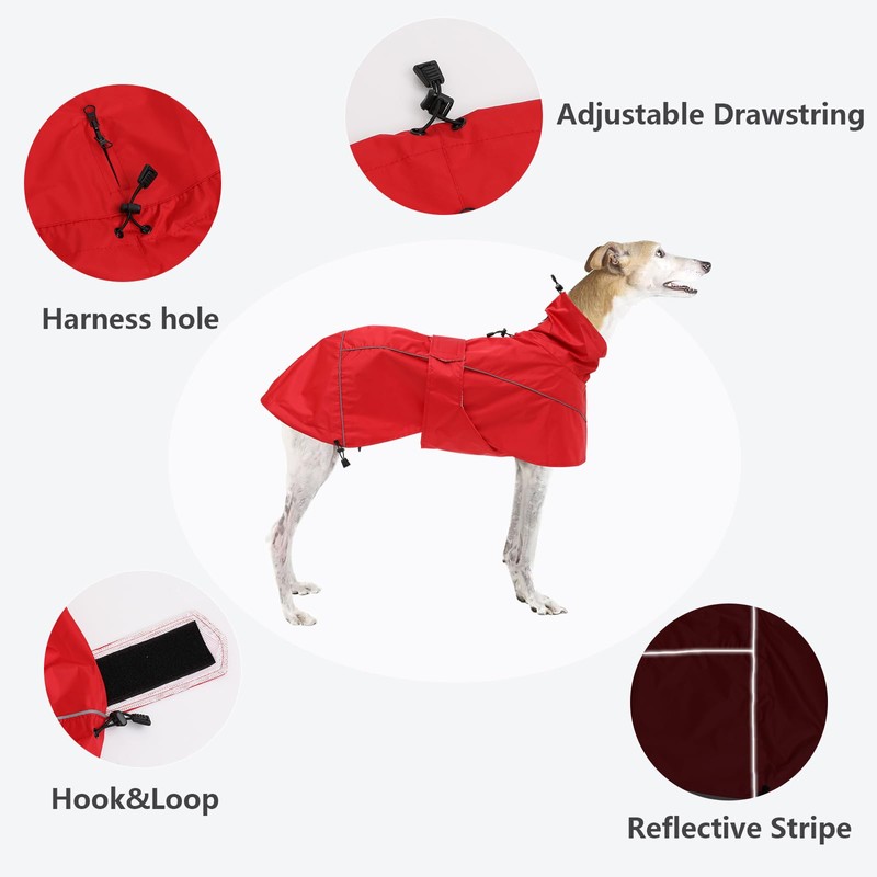 Greyhound Lurcher Raincoat, Whippet Rain Gear with Reflective Bar, Rain/Waterproof,