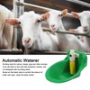 Stainless Steel Water Trough with Drain Plug and Connector, Automatic