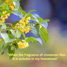 Hee Creek Osmanthus Fragrans Herb Loose Leaf Tea Dried Osmanthus Flower Tea 3.53 oz/100g 桂花 干桂花 桂花糕 桂花蜜