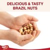 Tropgo Raw Brazil Nuts 500g - Packed Fresh, 100% Natural