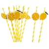 Lemon Biodegradable Paper Straws，Lemon Birthday Party Striped Decorative Straws -