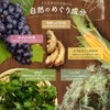 むくらっく 2袋セット カラダの巡りケア 自然由来サプリメント とうもろこしのひげ・赤ぶどう葉エキス配合
