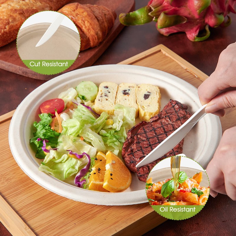 ECOLipak 100% Compostable 10 Inch Paper Plates, 125 Pack Heavy