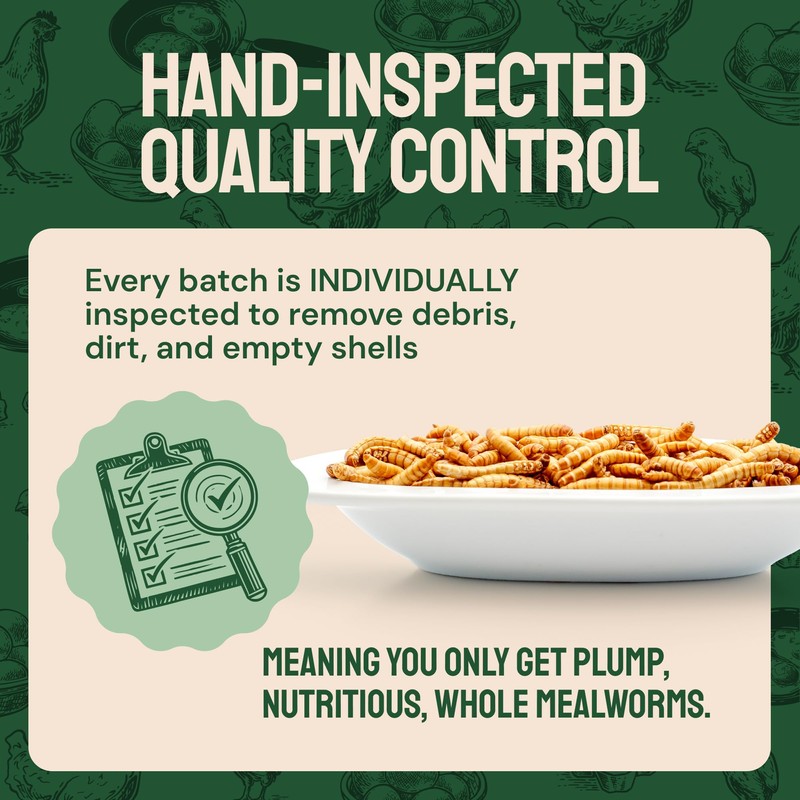 Hatortempt Bulk Dried Mealworms, 10 Lbs – Non-GMO Mealworms for