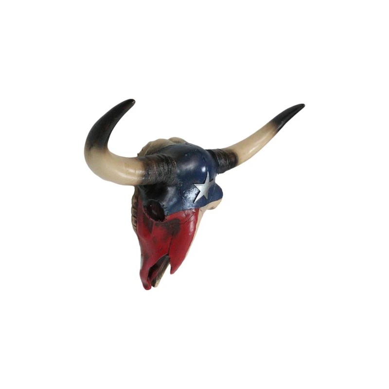 Southwest Longhorn Cow Steer Skull With Texas Lone Star State