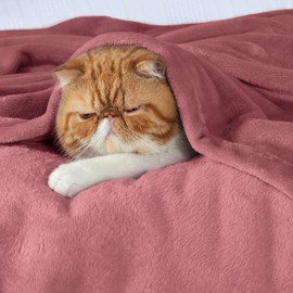 BEDSURE Cuddly Fluffy Blanket Fleece Blanket - Warm Soft Sofa Blanket Small Blanket Couch Blanket Living & Cuddly Blankets 130 x 150 cm Pink