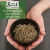 Simpli-Special Pomegranate Dragon Fruit Premium Green & White Loose Leaf