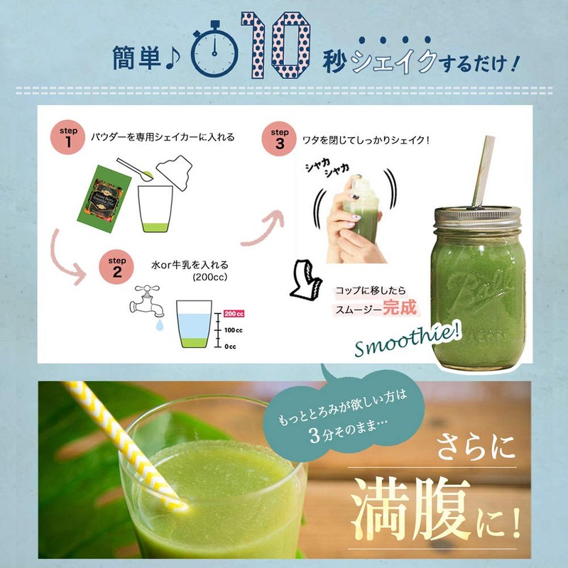 Replacement Diet IDEA Diet Smoothie, Set of 2 Bags (10.6