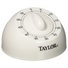 Taylor Long Ring Mechanical Timer