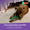 Multipet Gumby Latex Dog Toy - Squeaky Toy for All