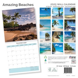 Dayplanner Publishing Amazing Beaches Calendar 2025, Large Square Wall Calendar, 16 Month, Beaches Gift Travel Calendar