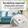 Victor M309 Professional Glue Boards for Insect and Rodent monitoring