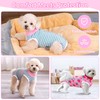 Coppthinktu Recovery Suit for Dogs After Surgery, Dog Onesie Surgery
