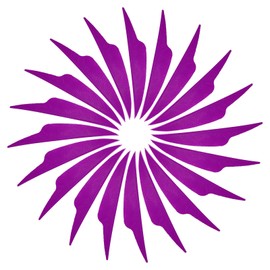 PATIKIL 4 Inch Arrow Vanes, 20 Pack Turkey Feather Fletching Shield Cut Archery Fletch Right Wing for Hunting Target Shooting, Purple-Red