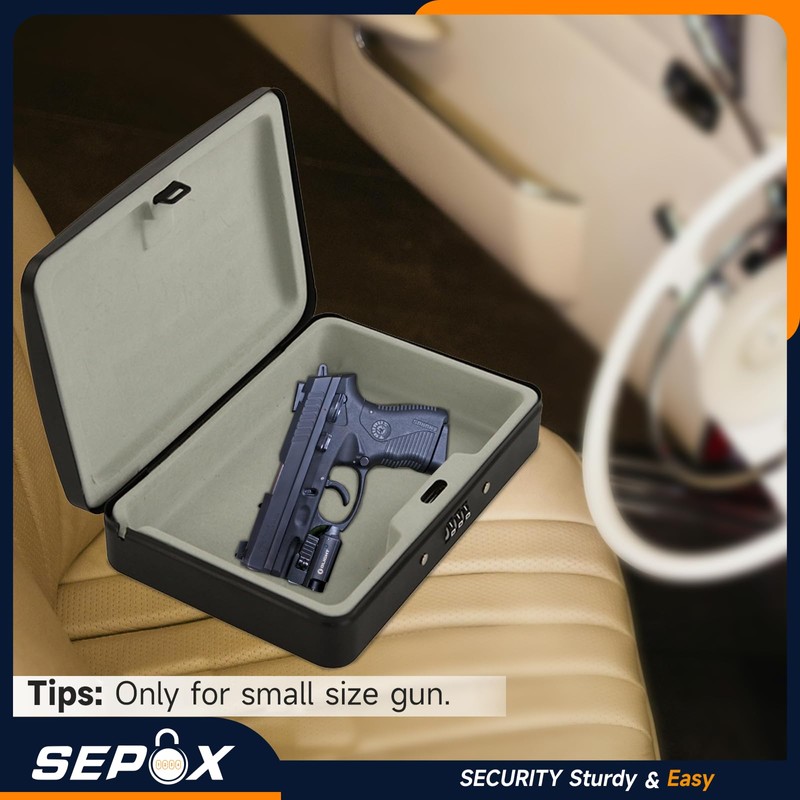 SEPOX® 2Pcs Water/Fire-Resistant Portable Security Case Lock Box Steel, Personal