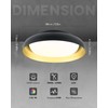 Ken & Ricky Flush Mount Ceiling Light with Remote,Black and