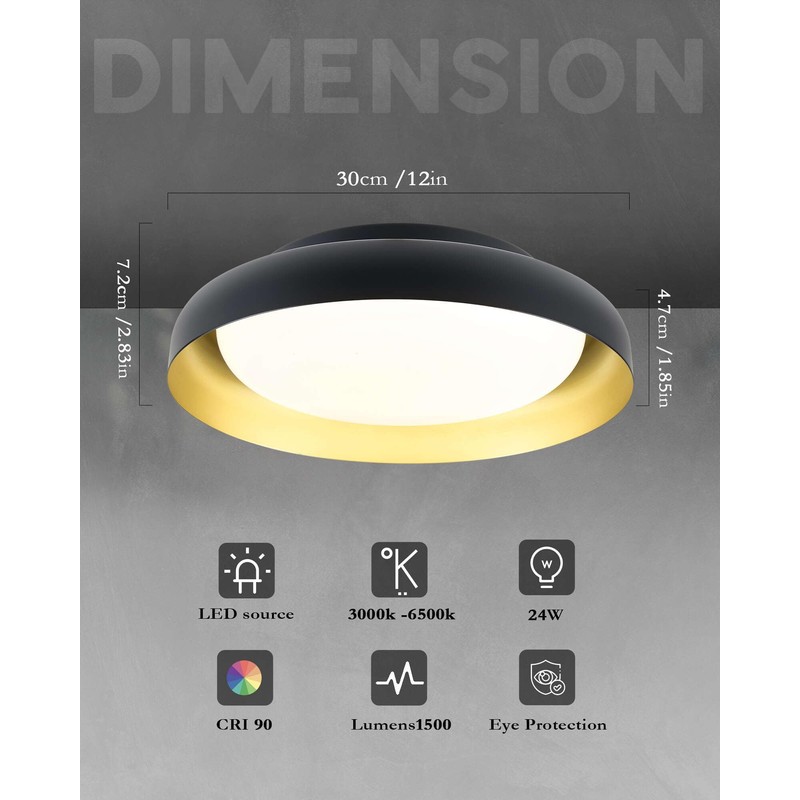 Ken & Ricky Flush Mount Ceiling Light with Remote,Black and