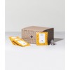 Art of Tea | Apricot Escape - Caffeine Free |