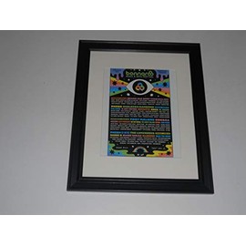 Cleveland Vinyl Large Framed Bonnaroo 2019 Handbill Poster,Post Malone, Phish, Cardi B, Childish Gambino, Solange 20" by 24"