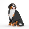 JEKCA Bernese Mountain Dog 05SB | Dog Plastic Building Blocks
