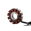 STATOOK Magneto Stator 12 Coil Compatible with GTS150 Dirt Pit