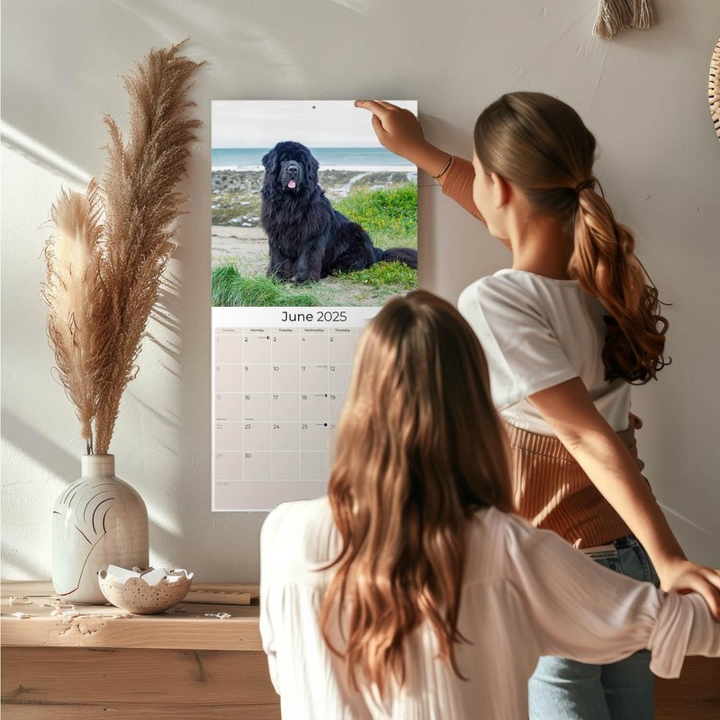 Newfoundland Calendar 2020 - Dog Breed Calendar - Wall Calendar