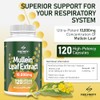 Mullein Leaf Extract for Lungs - 10,000 mg – Lung