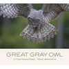 Great Gray Owl: A Visual Natural History