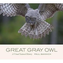 Great Gray Owl: A Visual Natural History