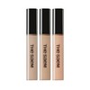 The Saem Cover Perfection Tip Concealer 9.5g 1.0 Clear Beige