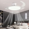 AHAWILL 48'' Retractable Ceiling Fan,Full Spectrum Low Profile Ceiling Fan