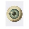 'Eyeball Front View' Temporary Tattoo - Water Resistant, Skin-Safe, Non-Toxic