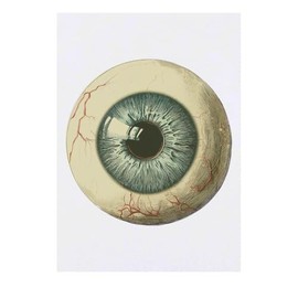 'Eyeball Front View' Temporary Tattoo - Water Resistant, Skin-Safe, Non-Toxic Transfer (TO00078795)