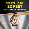 Raid Wasp & Hornet Killer Spray, Bug Killer Kills the