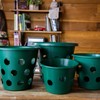 Bloom Master Hanging Baskets - 2 Gallon (3 Pack) -