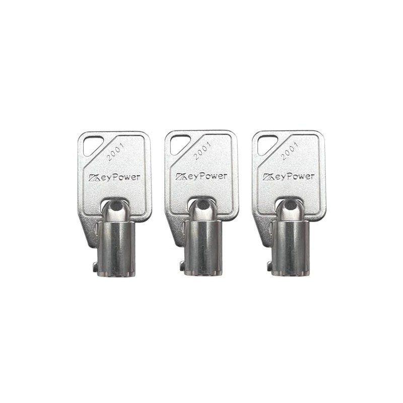 (3) KeyPower 2001-2100 Keys for Sentry Safe Lock Boxes, Tubular