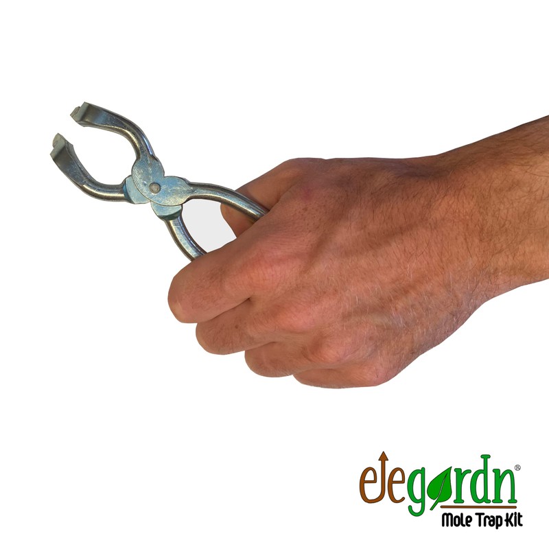 elegardn Setup pinch for Putange Mole Traps Vole Traps used