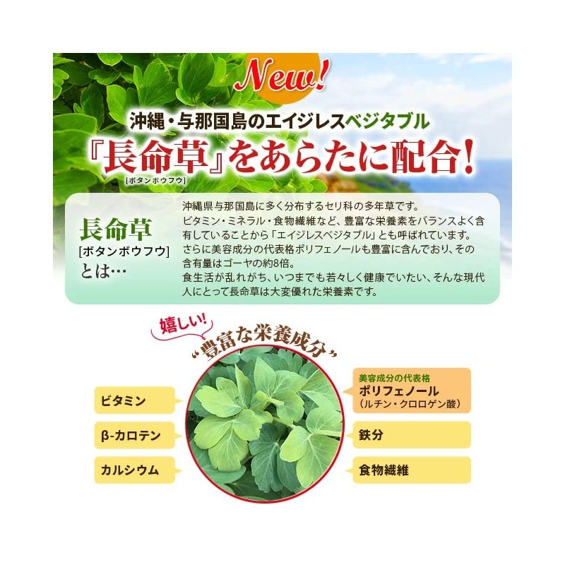 沖縄産トリプルウコンEXプラス 1本 1000粒入り 約66日分 ウコン サプリメント 日本直販