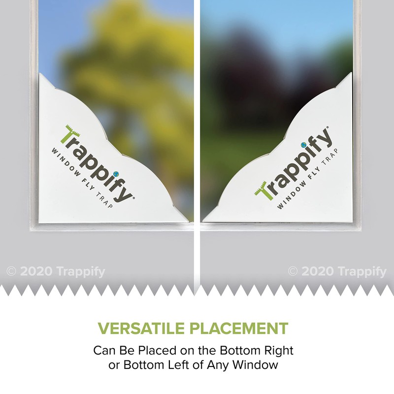Trappify Fly Trap Indoor: Window Fly Traps for Home |