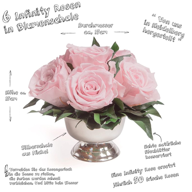 ROSEMARIE SCHULZ Heidelberg Infinity Roses in Silver Bowl - 6