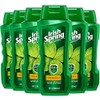 Irish Spring Body Wash, Original, 18 Fluid Ounce (Pack of