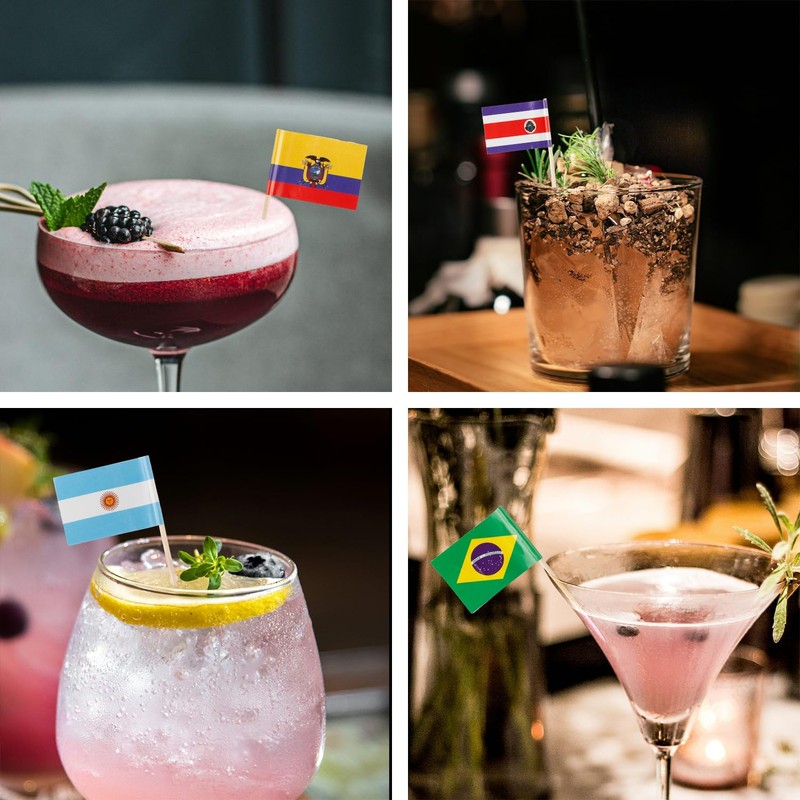 Tabanzhe Different Nations Toothpick Flag-100PCS Country Cocktail Stick Flag Food