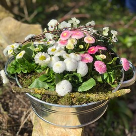 Storm's Gartenzaubereien Zinc Tub, 5 Litres, Round, Waterproof Plant Bowl, Mini Pond