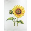 Half a Donkey Sunflower Heads large cotton tea towel