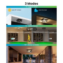 Craftersmark Outdoor Ceiling Light with Motion Sensor, Flush Mount Porch Light, Exterior Light Fixture with Clear Glass, Dusk to Dawn 2-Light Fixture for Patio,Porch (10.5in 2Pack)